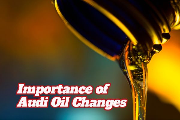 Importance of Audi Oil Changes