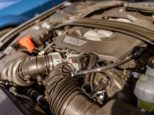 Ford Rough Idle Problems